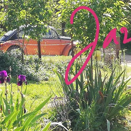 Apartment Jazz Golubac Εξωτερικό φωτογραφία