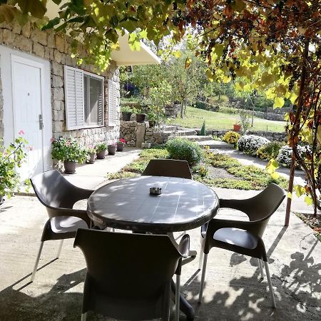 Apartment Jazz Golubac Εξωτερικό φωτογραφία