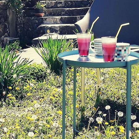 Apartment Jazz Golubac Εξωτερικό φωτογραφία