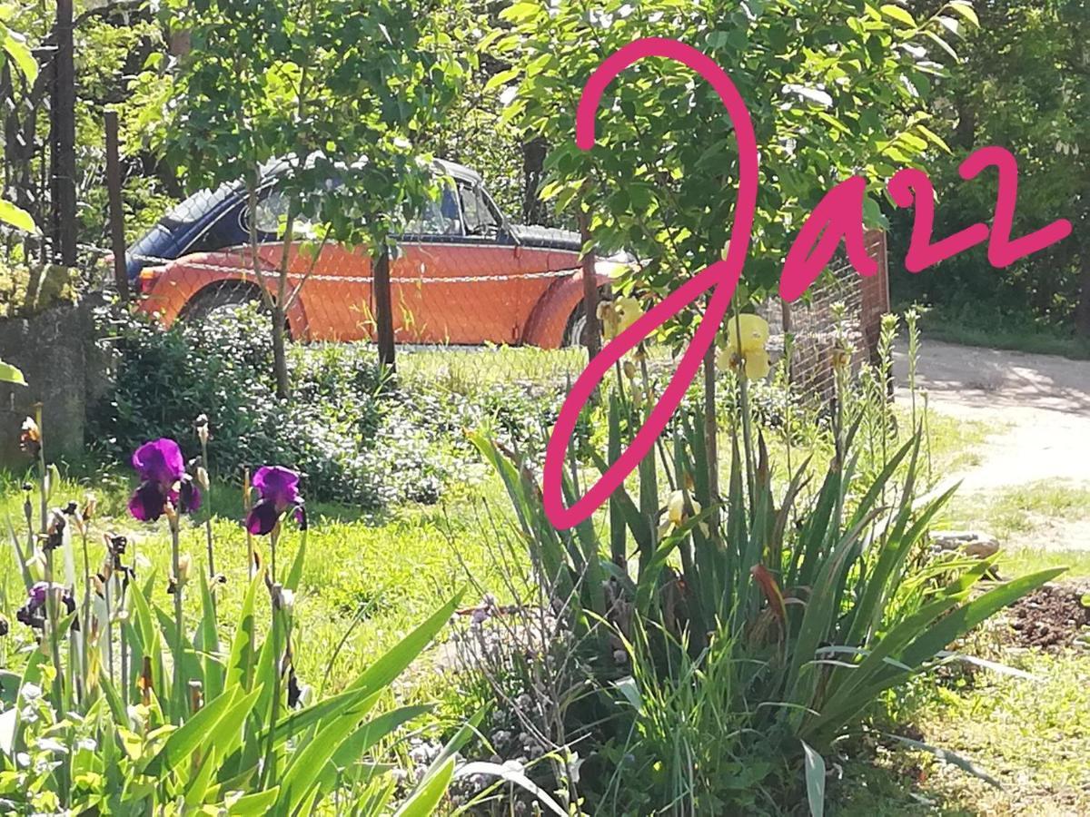 Apartment Jazz Golubac Εξωτερικό φωτογραφία