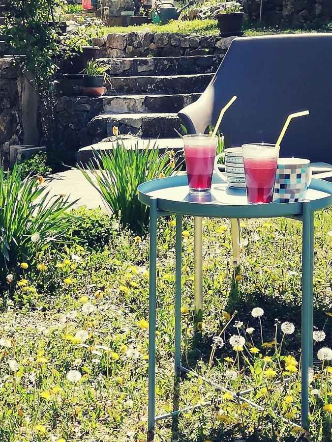 Apartment Jazz Golubac Εξωτερικό φωτογραφία